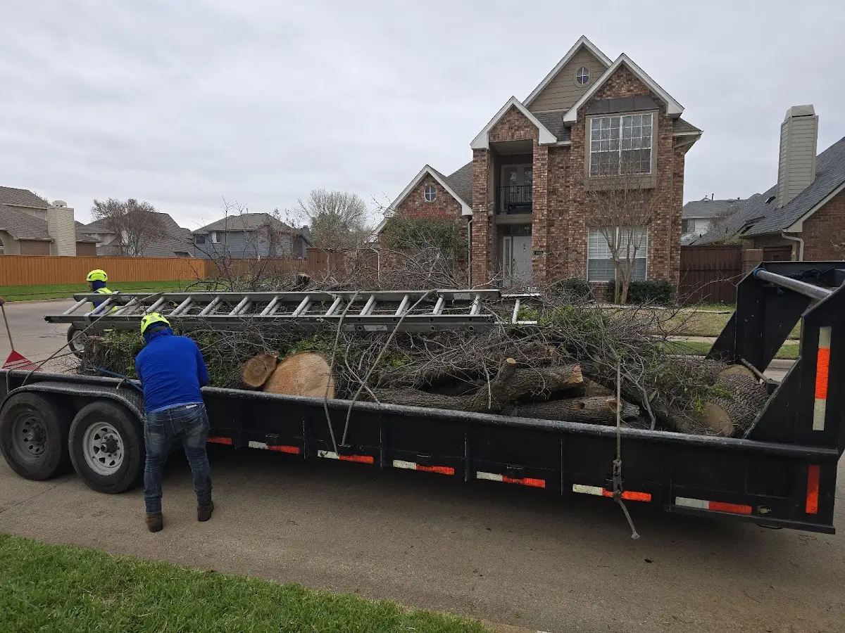Expert Tree Fertilization with proper safety equipment in Augusta